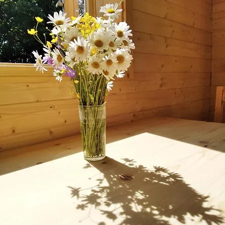Celorocni Glamping V Pohodlnem Domecku