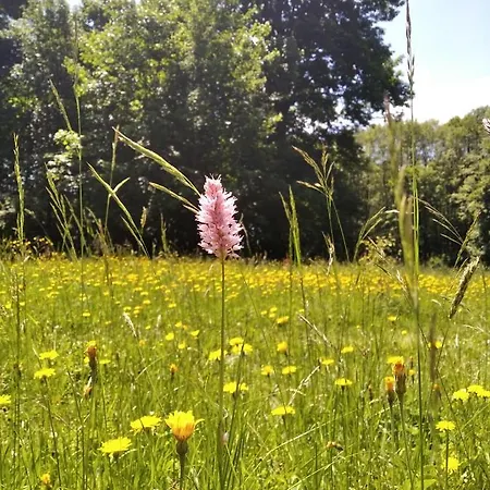 Celoroční Glamping V Pohodlném Domečku Lodge *