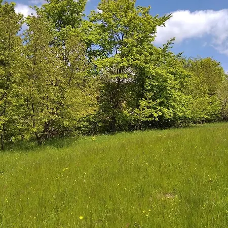 Celorocni Glamping V Pohodlnem Domecku 롯지 Výprachtice