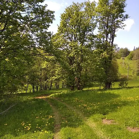 بيت خشبي Celorocni Glamping V Pohodlnem Domecku *