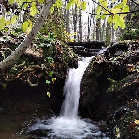 بيت خشبي Celorocni Glamping V Pohodlnem Domecku Výprachtice