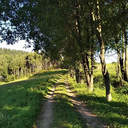 Celorocni Glamping V Pohodlnem Domecku *