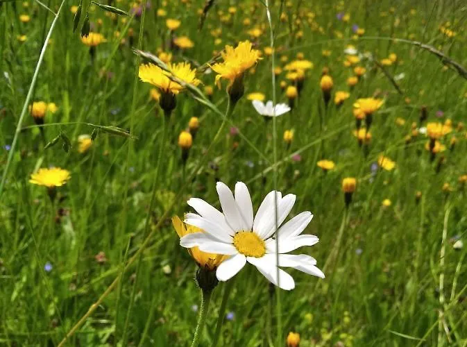 Celorocni Glamping V Pohodlnem Domecku *