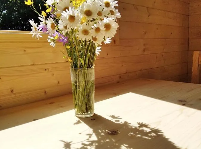 Celorocni Glamping V Pohodlnem Domecku