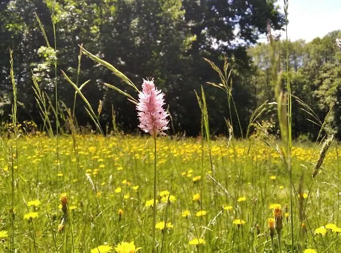 Celorocni Glamping V Pohodlnem Domecku Gerendaház *