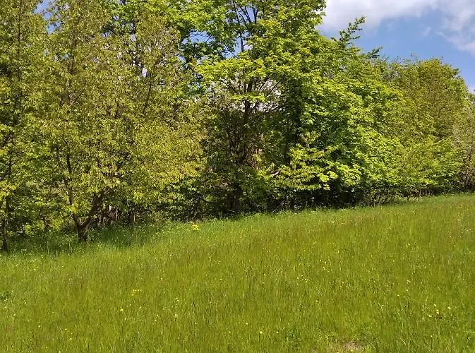 Celorocni Glamping V Pohodlnem Domecku 롯지 Výprachtice