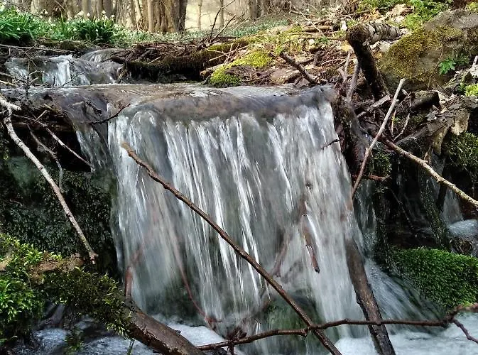 Celorocni Glamping V Pohodlnem Domecku