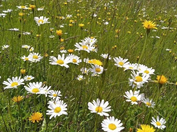 Celorocni Glamping V Pohodlnem Domecku Gerendaház *