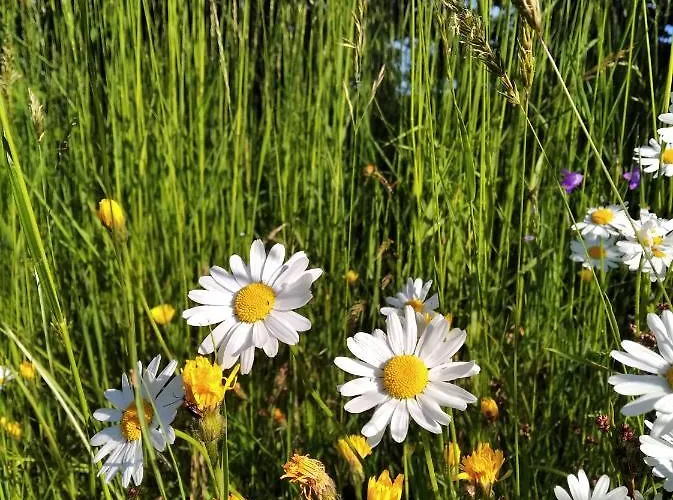 Celorocni Glamping V Pohodlnem Domecku Gerendaház *